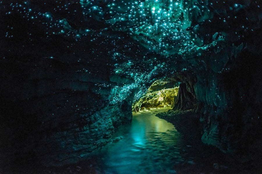 Caverna dos vaga-lumes, Nova Zelândia